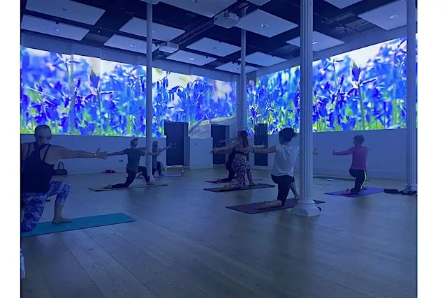 Immersive Yoga - series ticket: October - November 2026 at Northampton Museum & Art Gallery