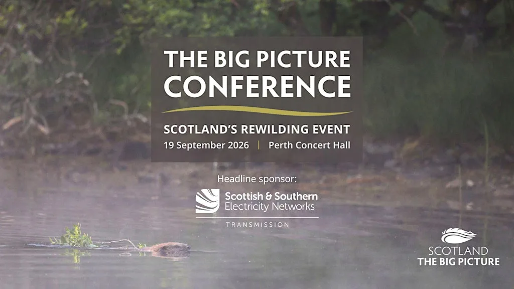 The Big Picture Conference 2026 at Perth Concert Hall