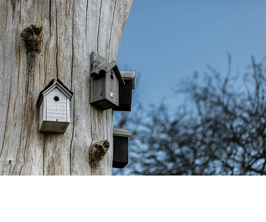 The power of nest boxes: A Practical Wildlife Talk with Ian Rumley‑Dawson at Veterans' Growth, Cottage Lane, Westfield, Hastings