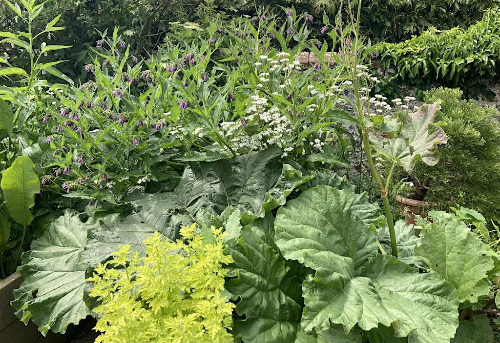 Nourish: How do we build healthier food systems for people and planet?