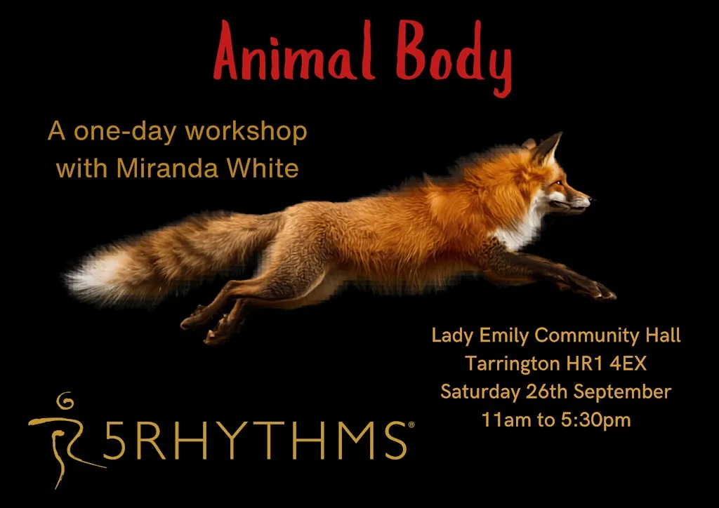 Animal Body - A One Day 5Rhythms Workshop
