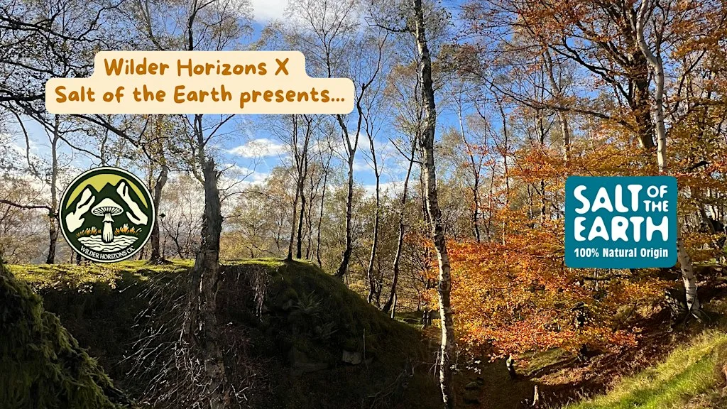 Guided Hike & Wild Photography with Lou at National Trust - Longshaw