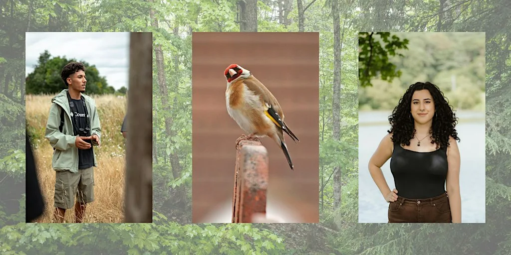 Young Birder Walk for 18-35 year olds