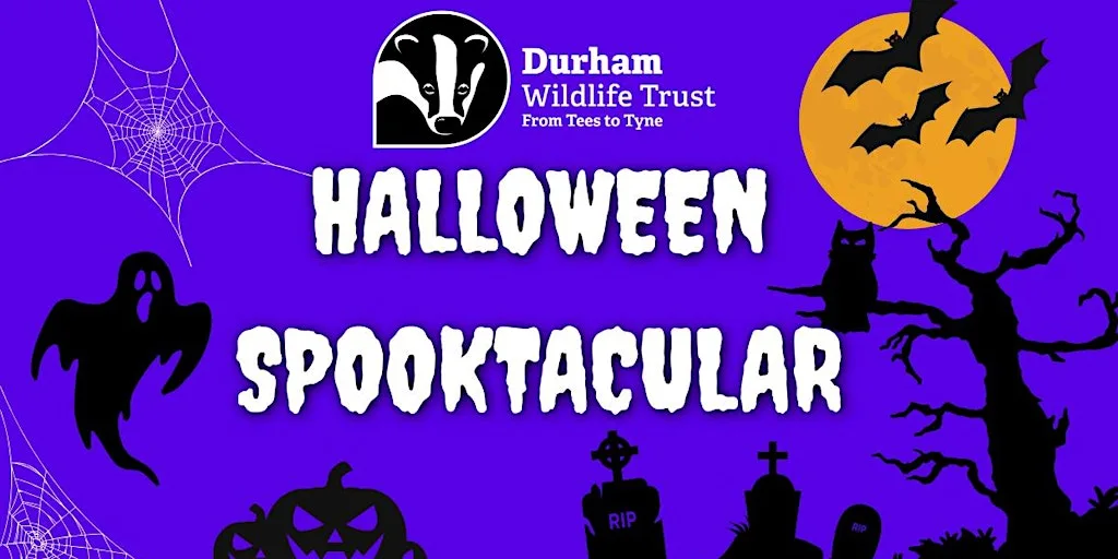 Durham Wildlife Trust Halloween Spooktacular at Rainton Meadows
