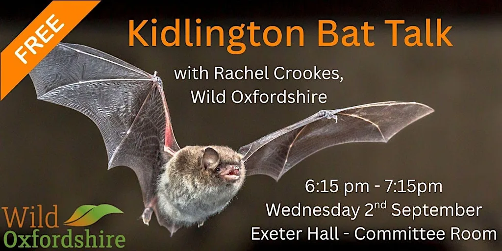 Bat Talk - find out about these amazing animals that live in Kidlington! at Exeter Hall
