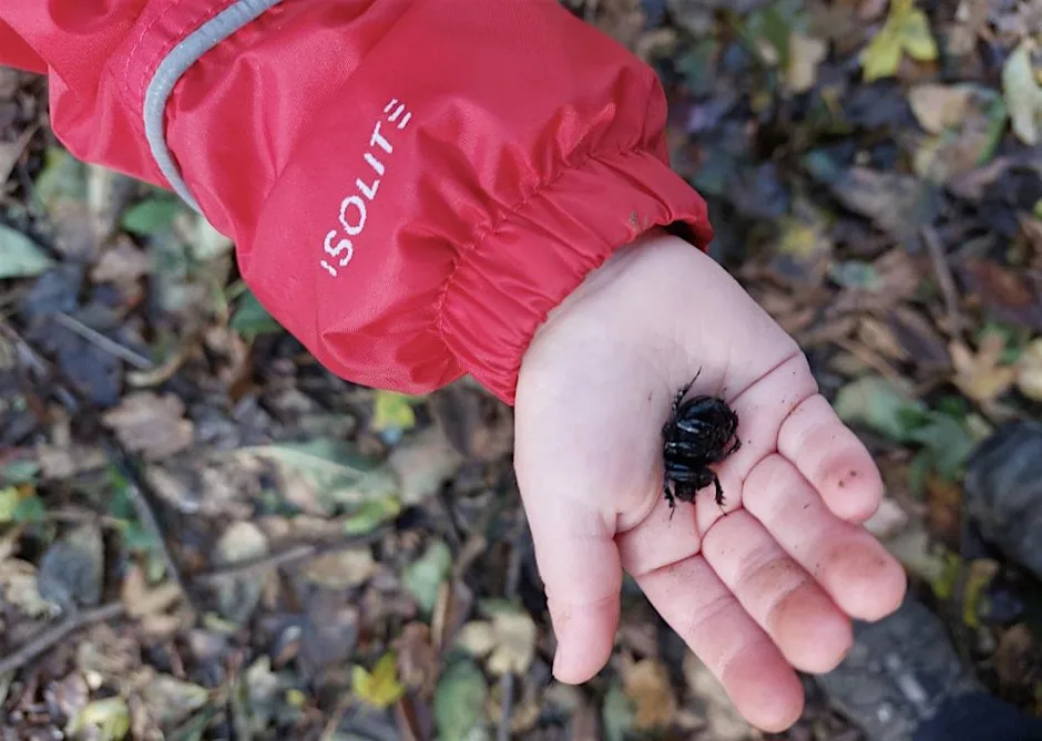 Nature Tots Buggy Walk