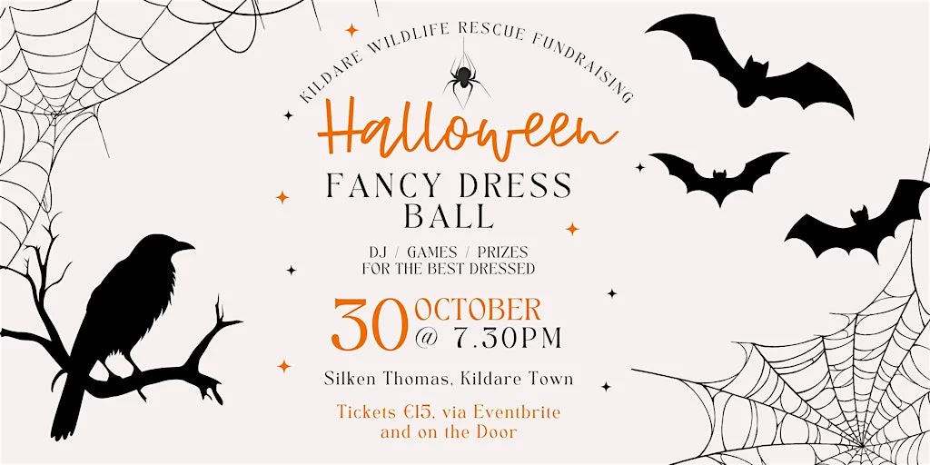 Kildare Wildlife Rescue Halloween Fancy Dress Ball at Silken Thomas