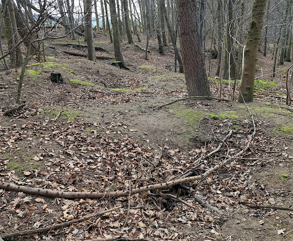 Badger Surveying Workshop