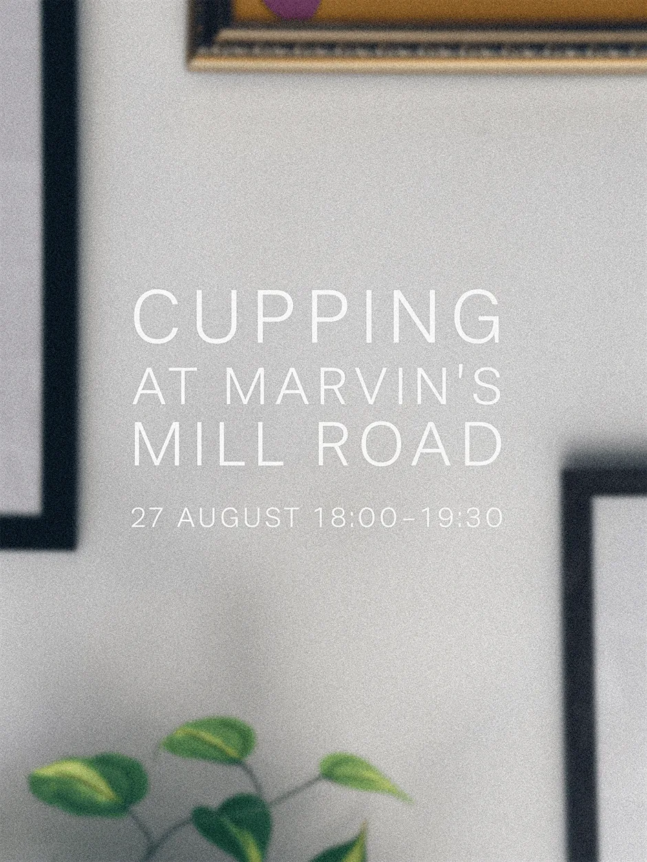 Cupping at Marvin's Sandwiches at Marvin's Sandwiches