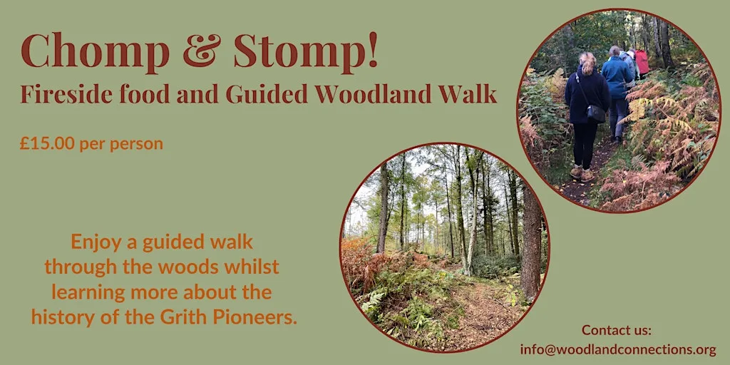 Stomp & Chomp - Guided Woodland Walk with fireside soup supper at Shining Cliff Woods