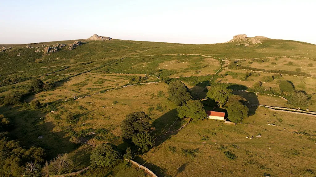 An introduction to the East Dartmoor Landscape Recovery Scheme