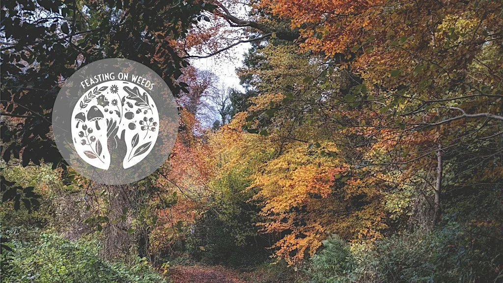 An Autumn Gathering at Ormeau Park - Fundraising for PCRF at Ormeau Park