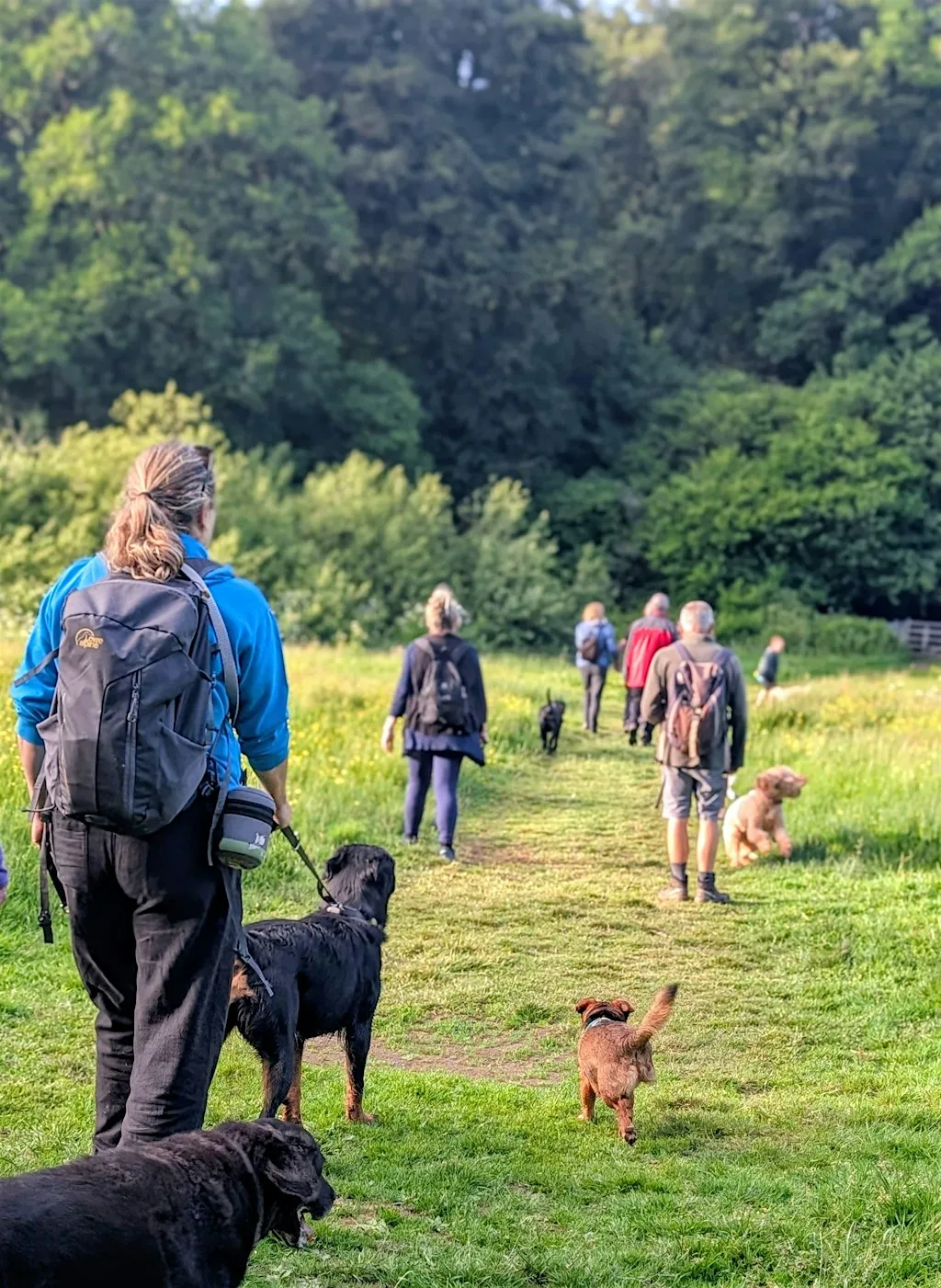 Waggy Walk at National Trust Parke at National Trust - Parke