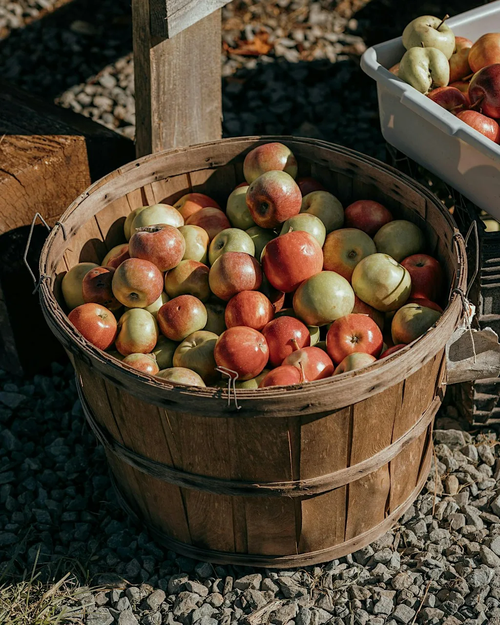 Hannington Cider Festival