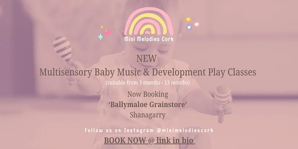 Mini Melodies Cork Classes at Ballymaloe Grainstore at Ballymaloe Grainstore