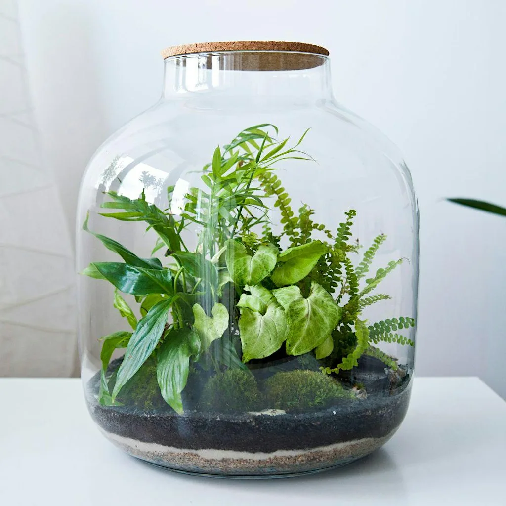 Autumn Terrarium Workshop at Souter Lighthouse