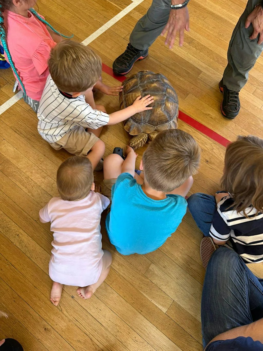 Cobham 10.15am TODDLER exotic animals encounter