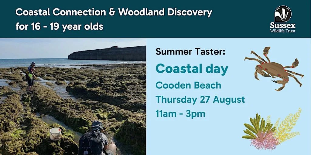 Coastal Day: Summer Taster for 16 - 19 yr olds, Cooden Beach at Cooden Beach