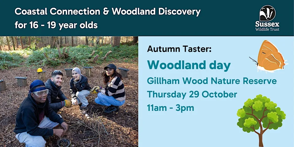 Woodland Day: Autumn Taster for 16 - 19 yr olds, Gillham Wood at Gillham Wood Nature Reserve