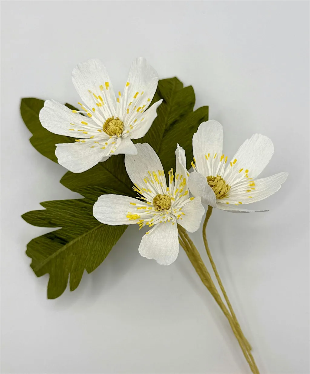 Afternoon Paper flower taster session