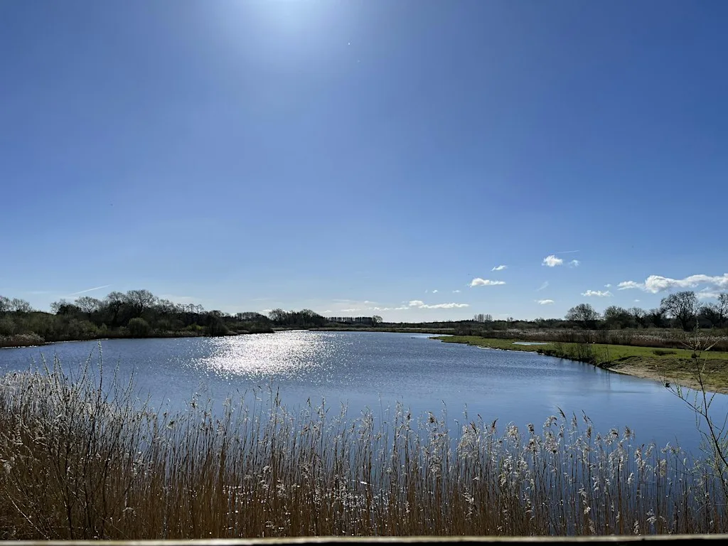 Autumnal Mindfulness Walk at Ripon City Wetlands - YWT