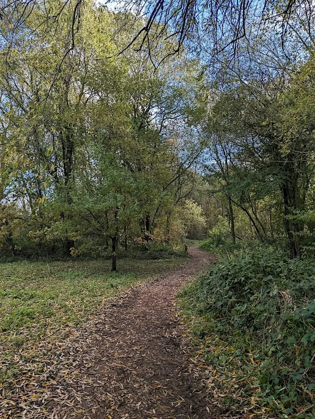 New Years Mindfulness Walk