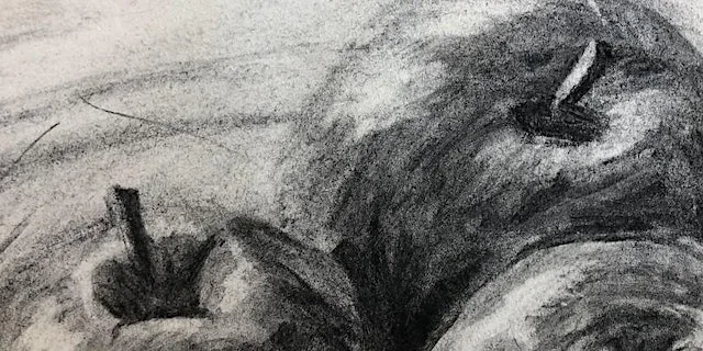 Autumn Term 2026 - Introduction to Drawing Short Course at Hereford College of Arts (University Campus)