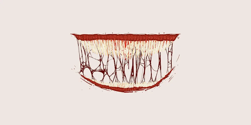 The Psychology of Horror Movies: How horror speaks to the subconscious at Parabola Arts Centre