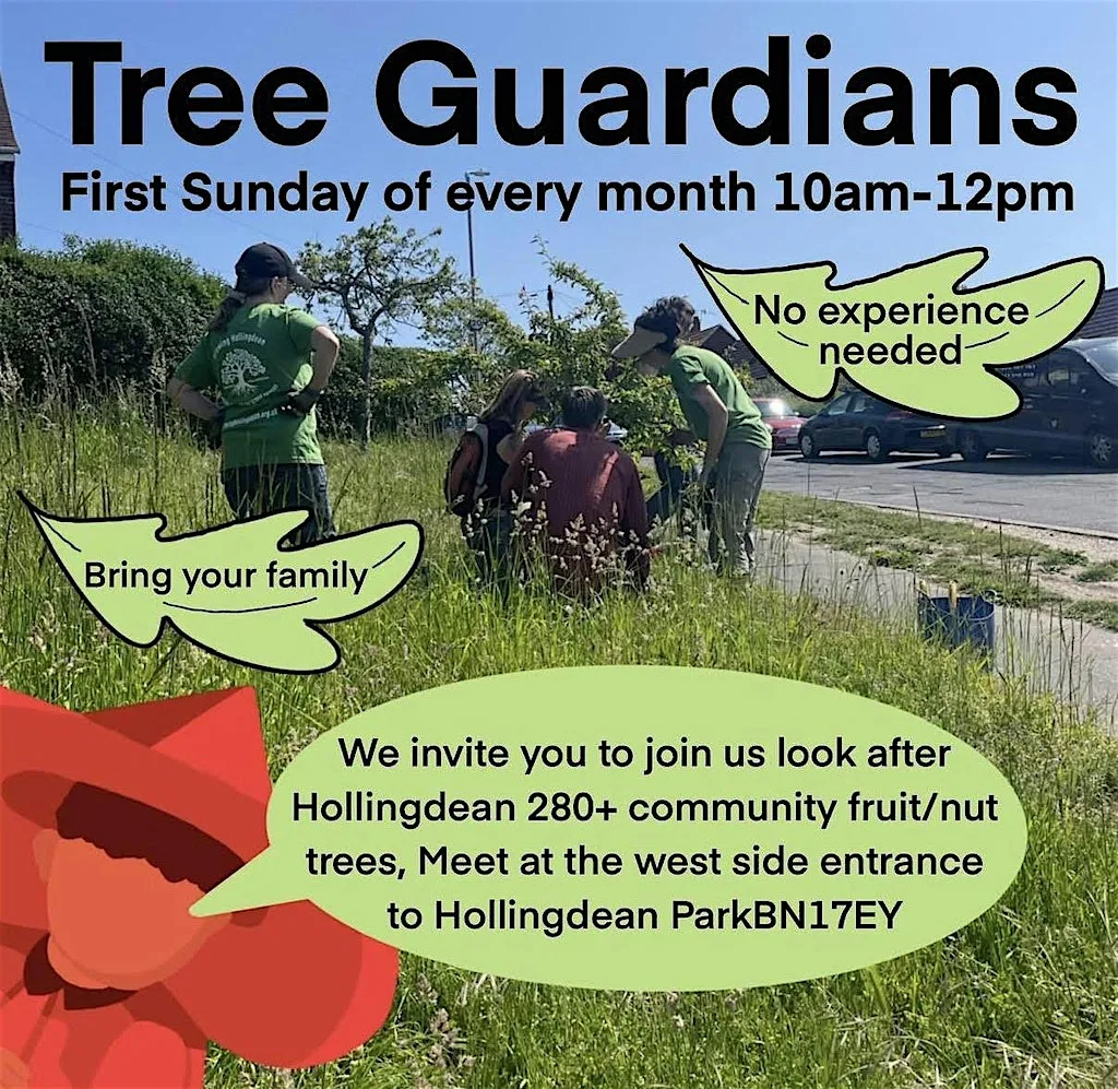Tree Guardians at Hollingdean Park