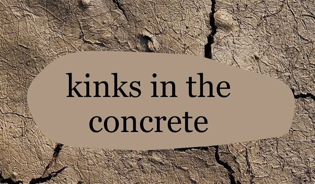 kinks in the concrete at Earthlings - The healing Cafe