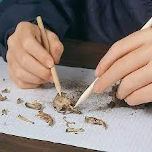 Owl Jewellery: Spooky Science & Resin Crafting