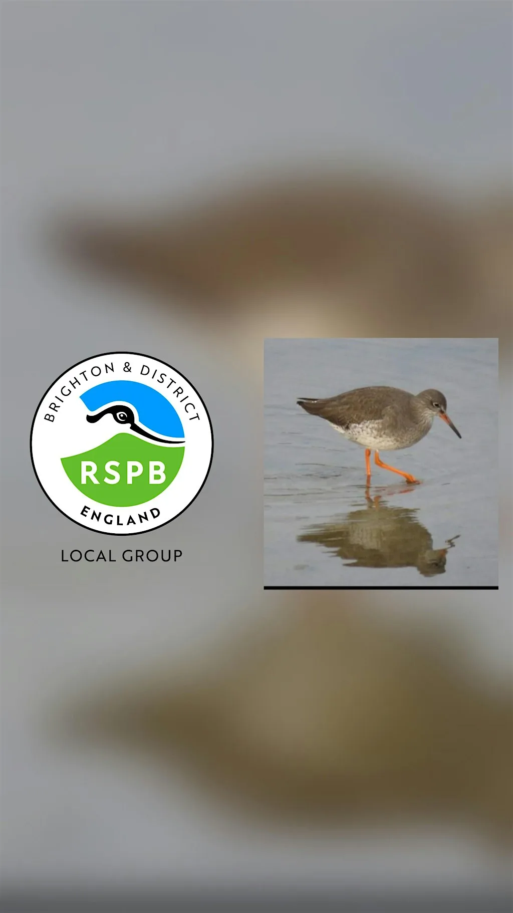 RSPB indoor talk - Learn about Sussex coastal birds