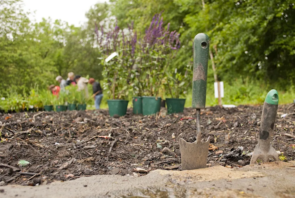 Habitat Heroes 2 at Wildroots Community Garden