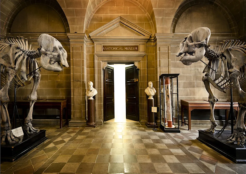 Anatomical Museum, Public Open Day, Saturday 19th September 2026