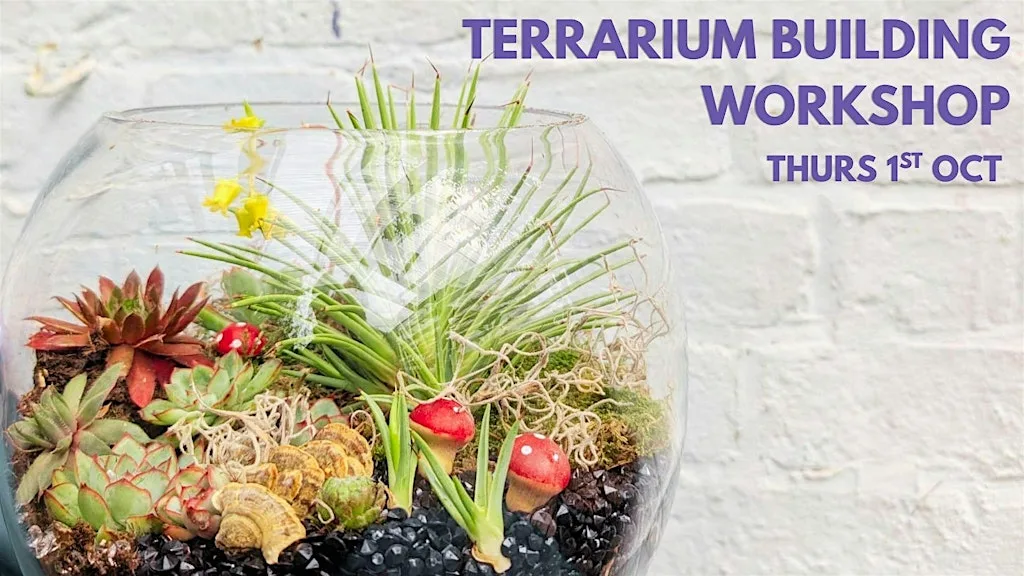 Craft & Cocktail - Terrarium Building