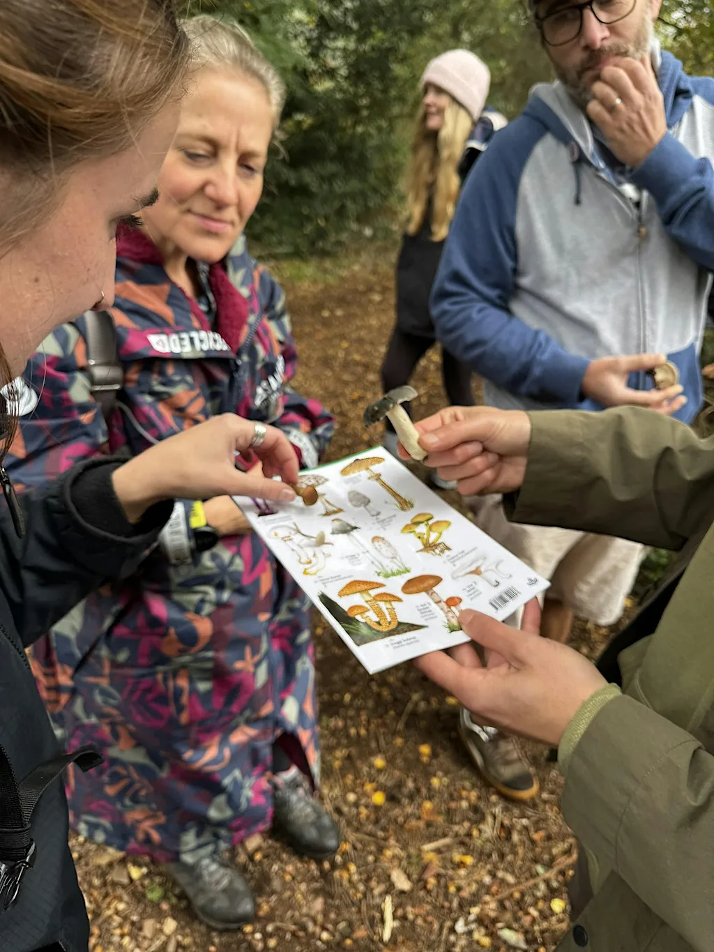 Fungi Walk at Sherwood Heath Local Nature Reserve