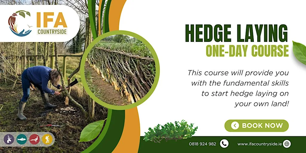Hedge laying Workshop at N37 ET72 McLoughlin Farm
