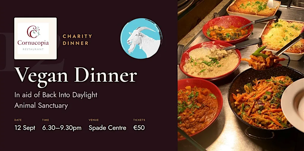 Vegan Dinner In Aid of Back Into Daylight - Sponsored By Cornucopia