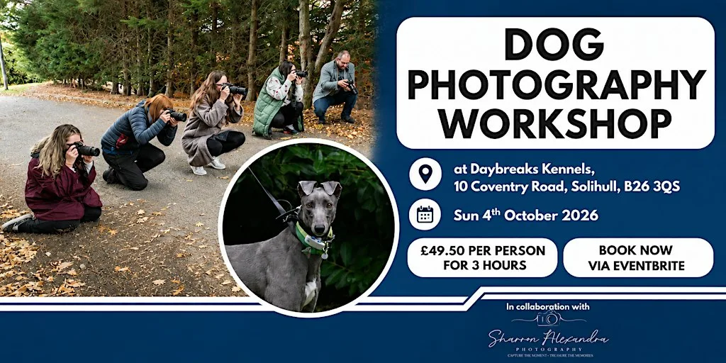 Dog Photography Workshop 2026 at Daybreaks Trust (Greyhound Rescue and Rehoming Charity)