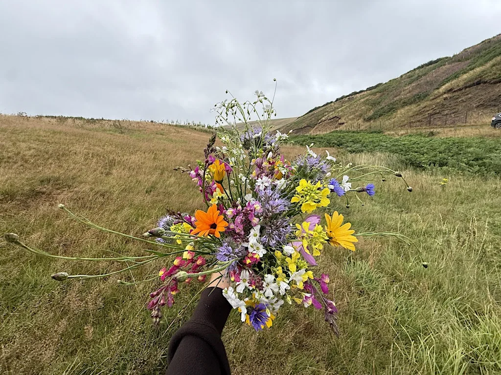 Wild Hill's Secret Flower Field: Pick Your Own Flowers