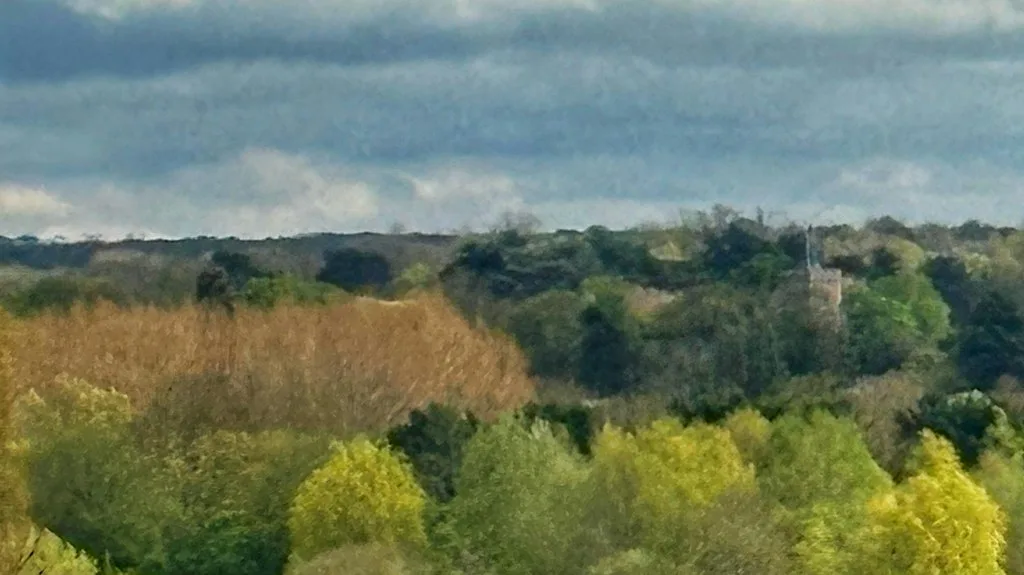 Winkworth Arboretum and the Greensand Way Autumn Colors Hike plus Halloween pub at Witley Station