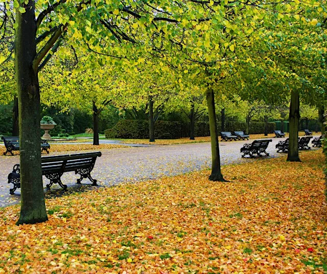 Sunday Stroll at Regent’s Park