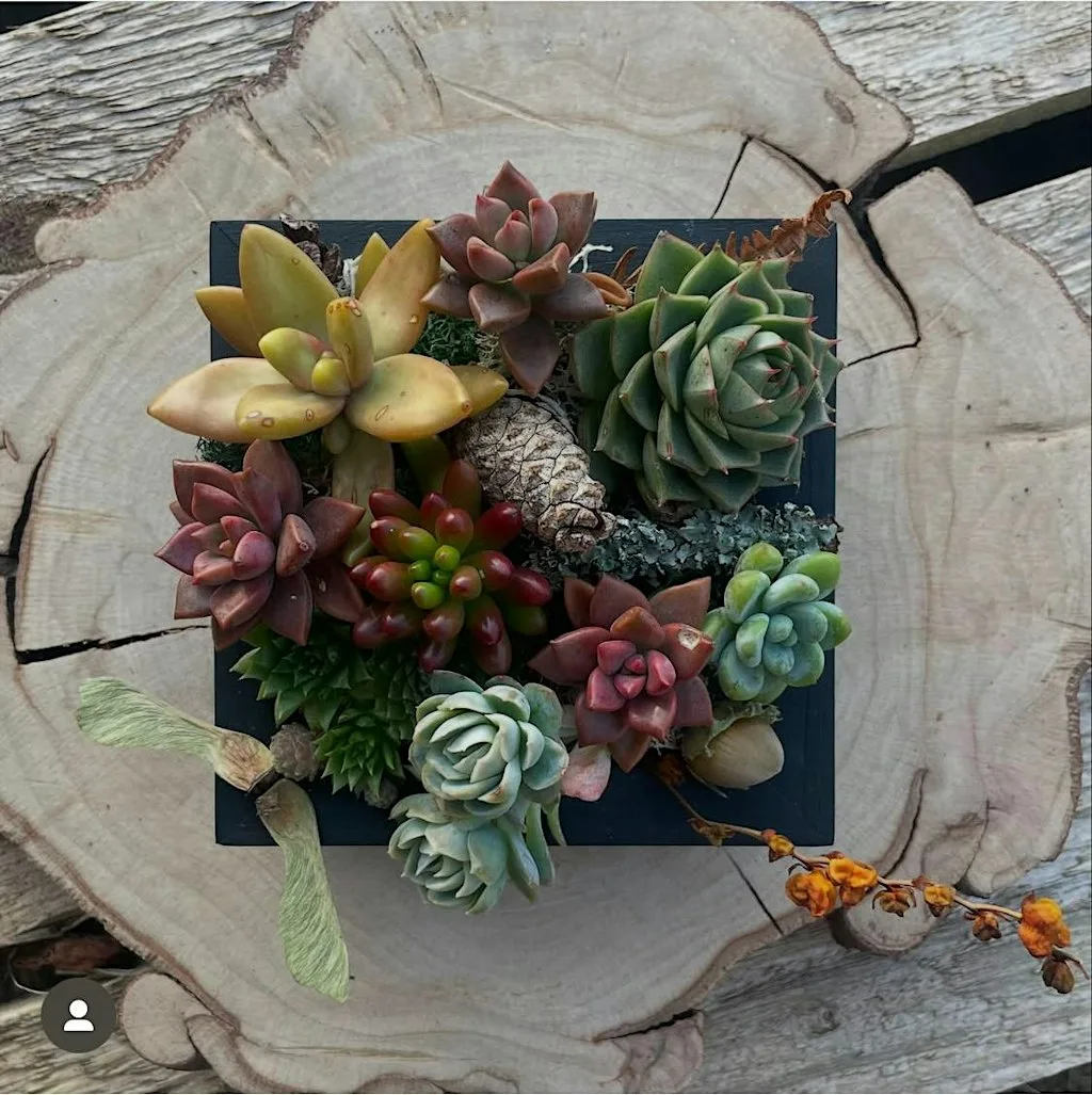 Living Art Workshop