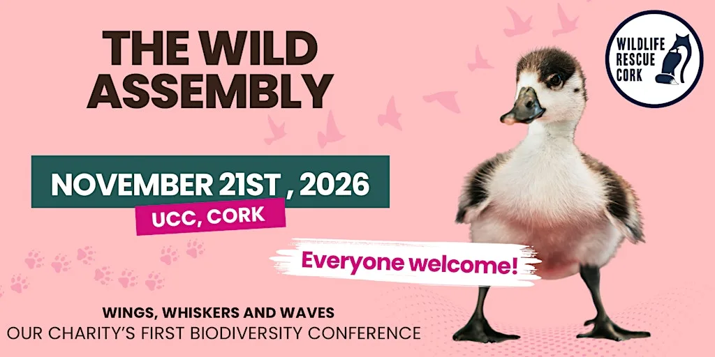 The Wild Assembly: Wings, Whiskers & Waves at North Mall Enterprise Centre (UCC campus)