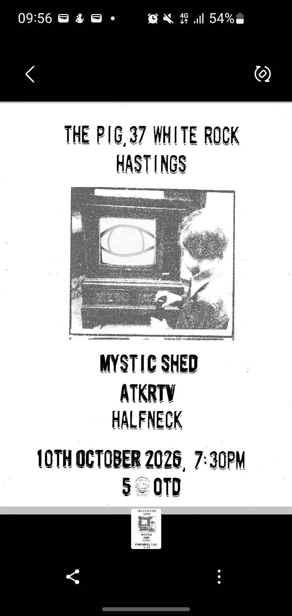 The Mystic Shed, ATKRTV & halfneck at The Pig