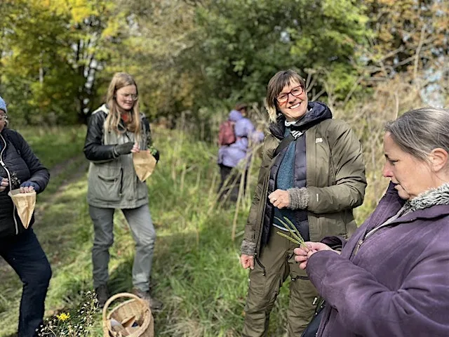 Autumn foraging walk in People's Park