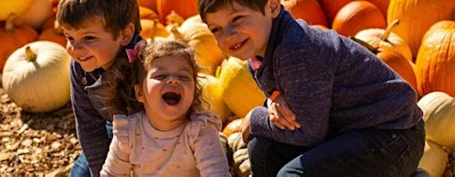 The Great Pumpkin Pick at Coakham Farm