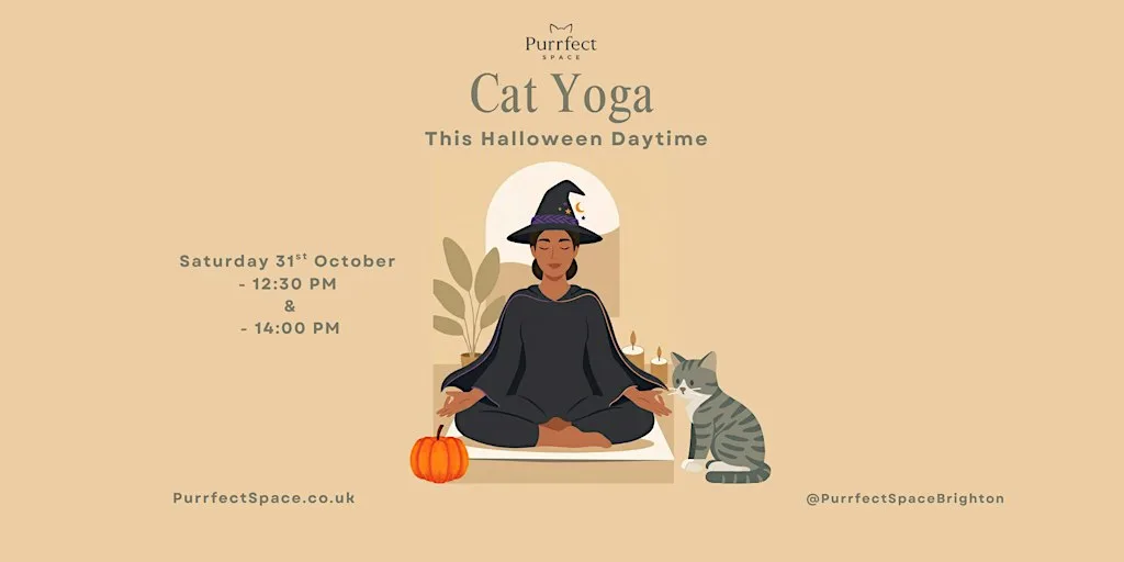 Spooky Cat Yoga at Purrfect Space