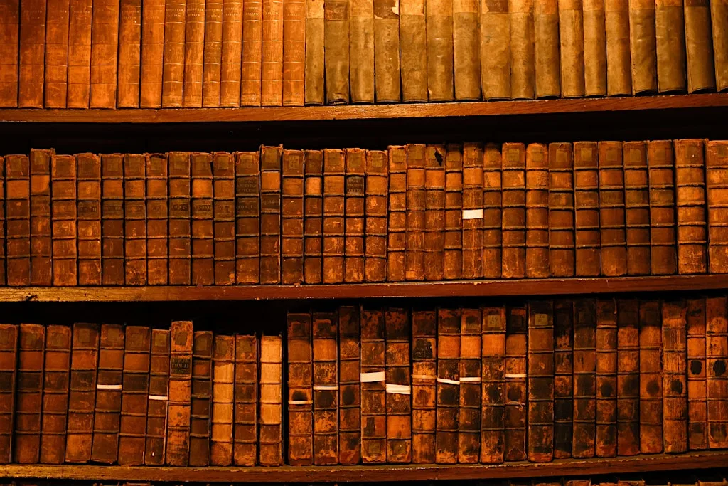 Describing historical bookbindings as physical artefacts (1 Day Workshop) at National Library of Ireland