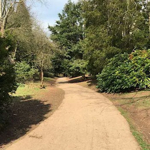 Immersive Sound Walk at Oldbury Court